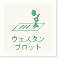 ウェスタンブロット