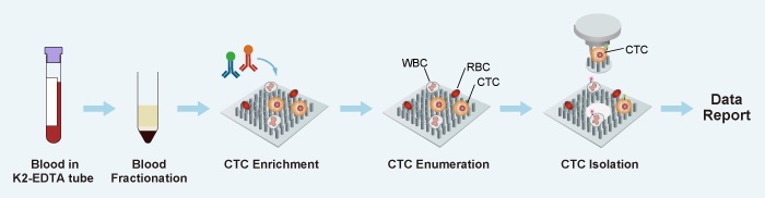 循環腫瘍細胞解析受託サービス 株式会社薬研社 受託オンライン Yakukensha Co Ltd Commissioned Research Online